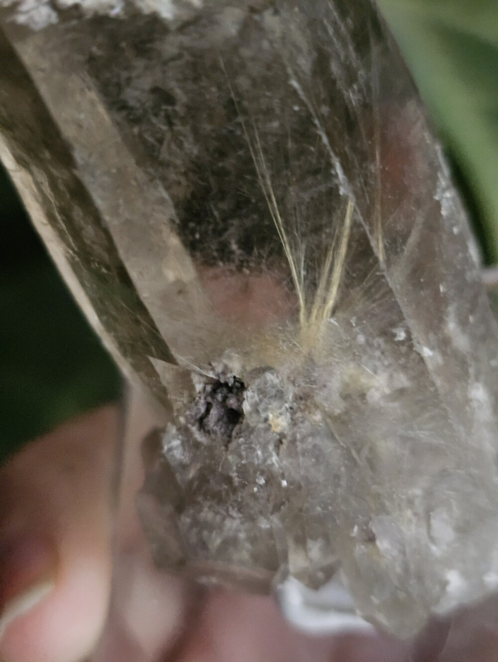 Rutilated Quartz - Picture 3 of 6
